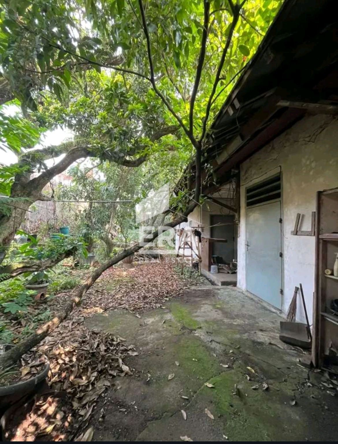 interior 4