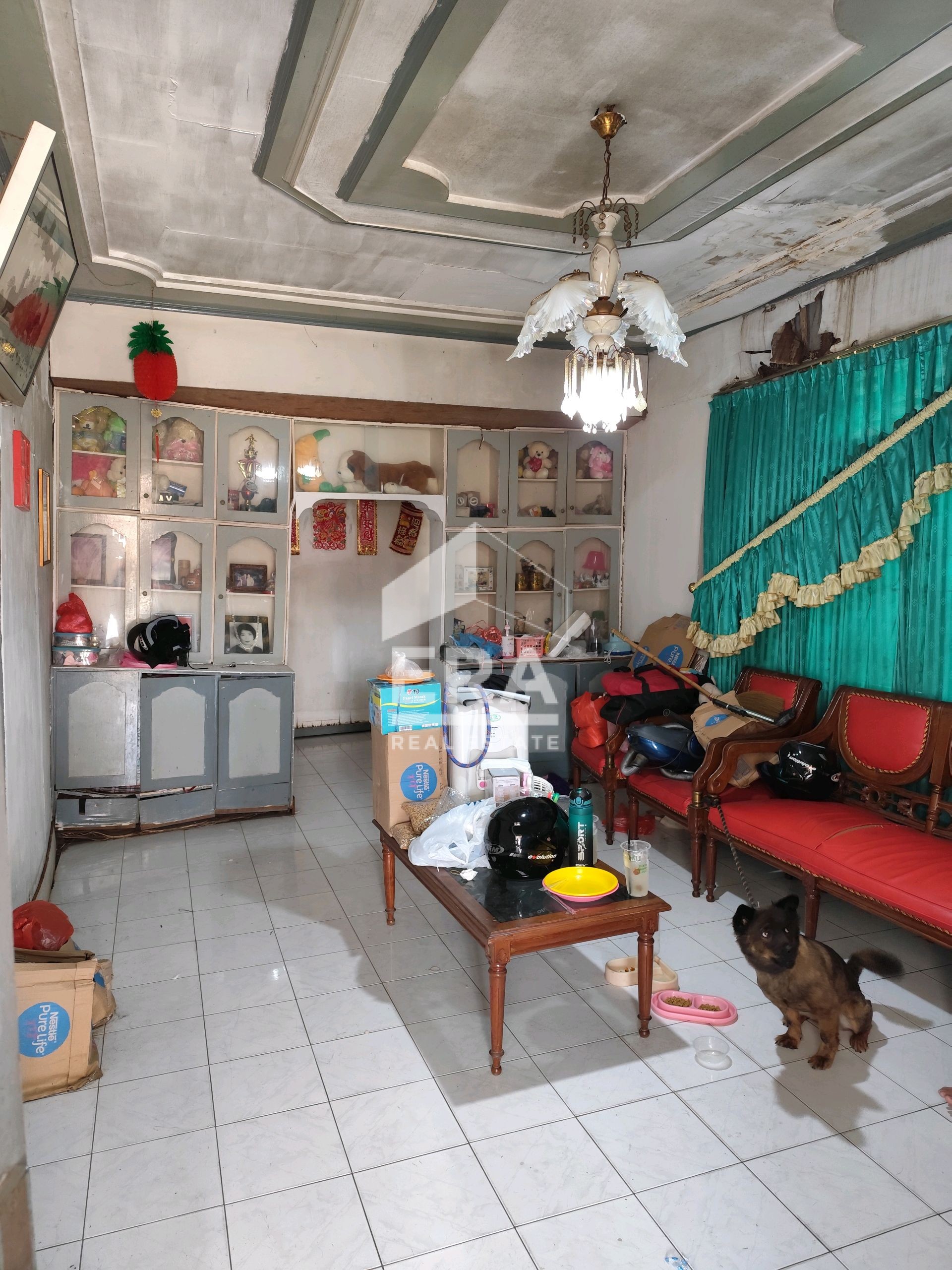 interior 4