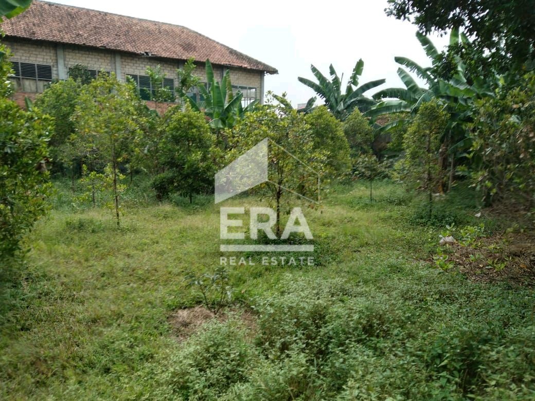 interior 8