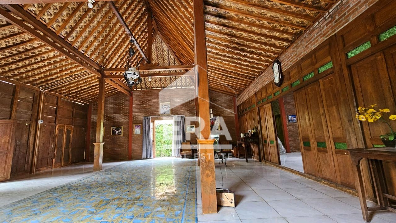 interior 4