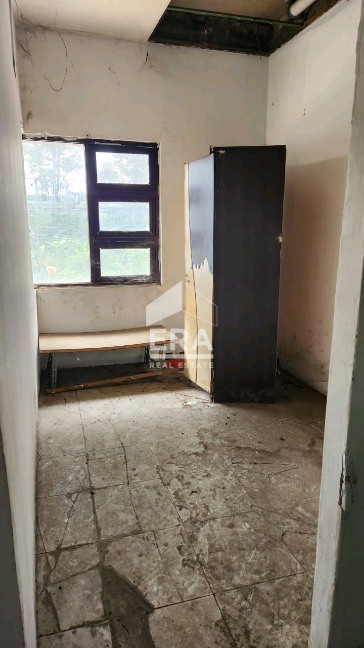 interior 2