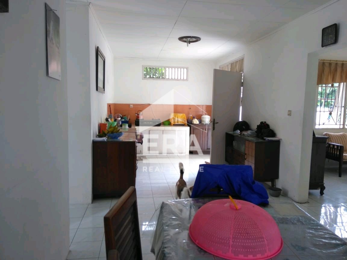 interior 4