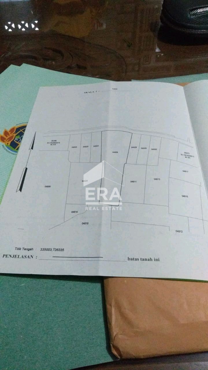 interior 8