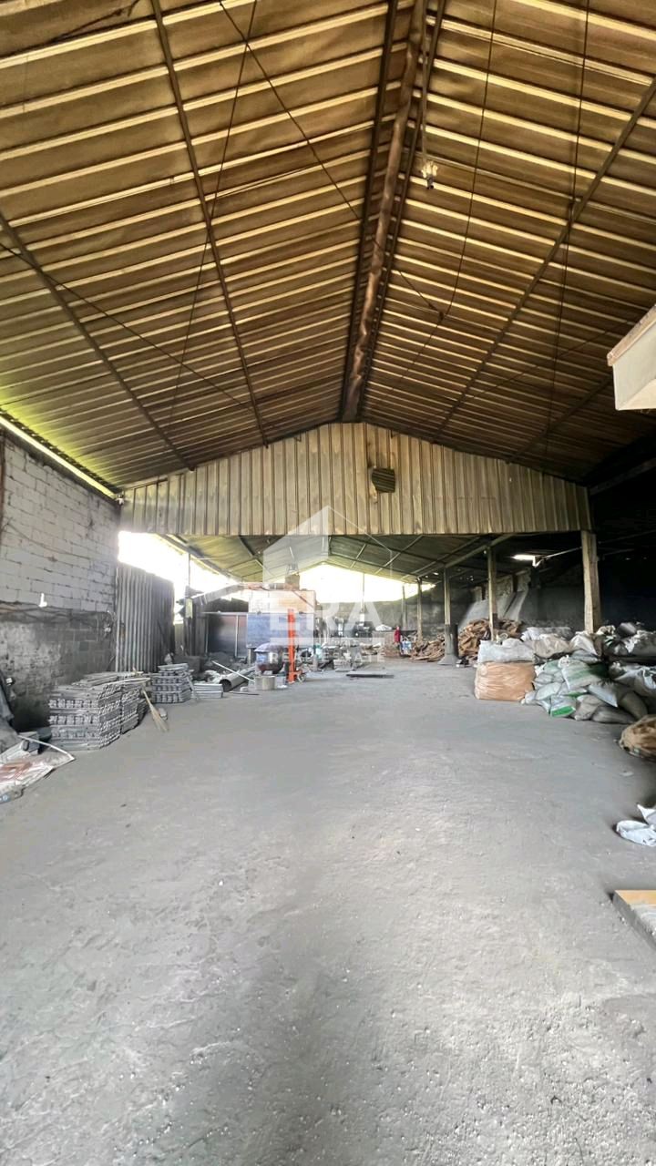 interior 6