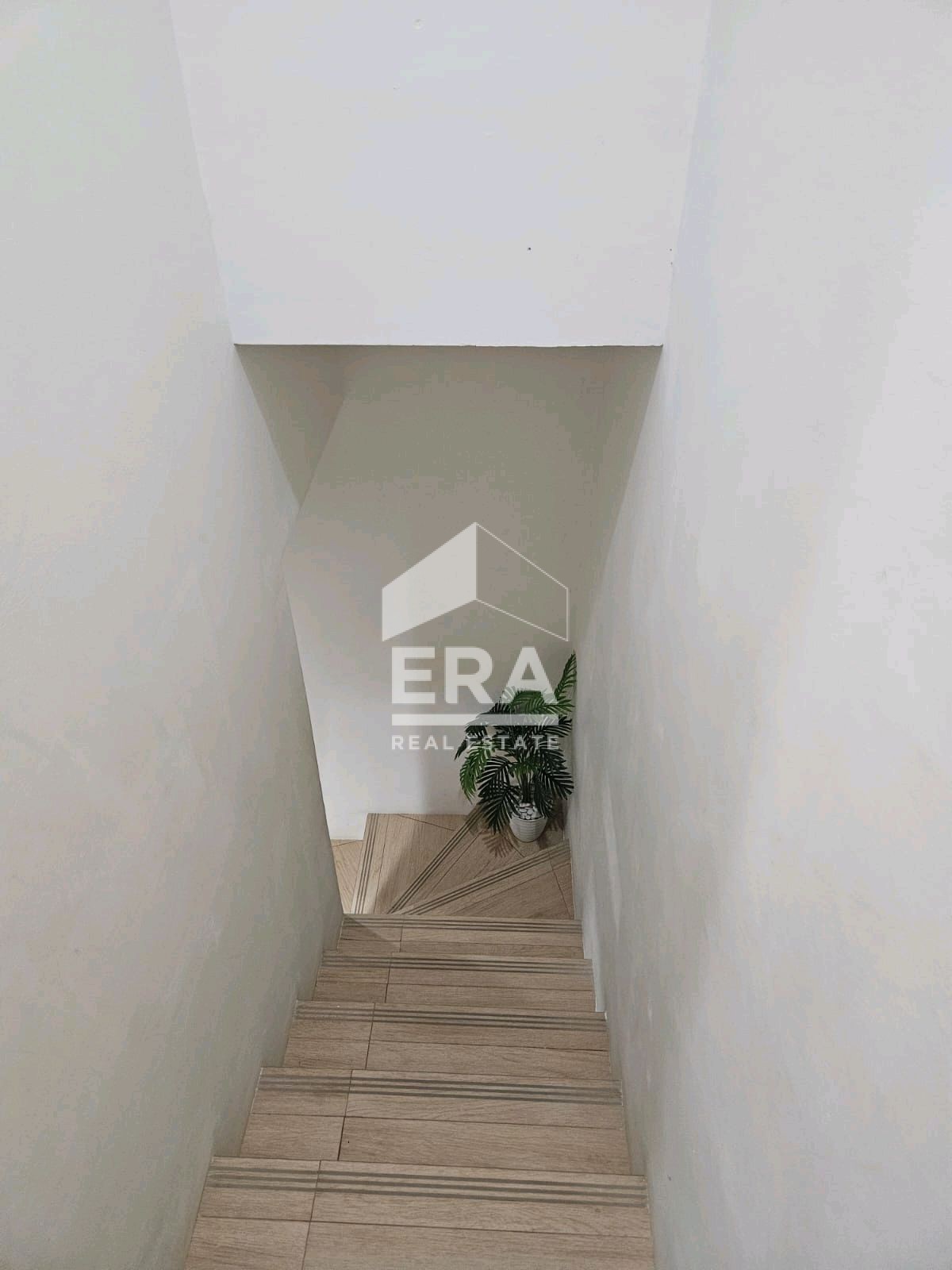 interior 8