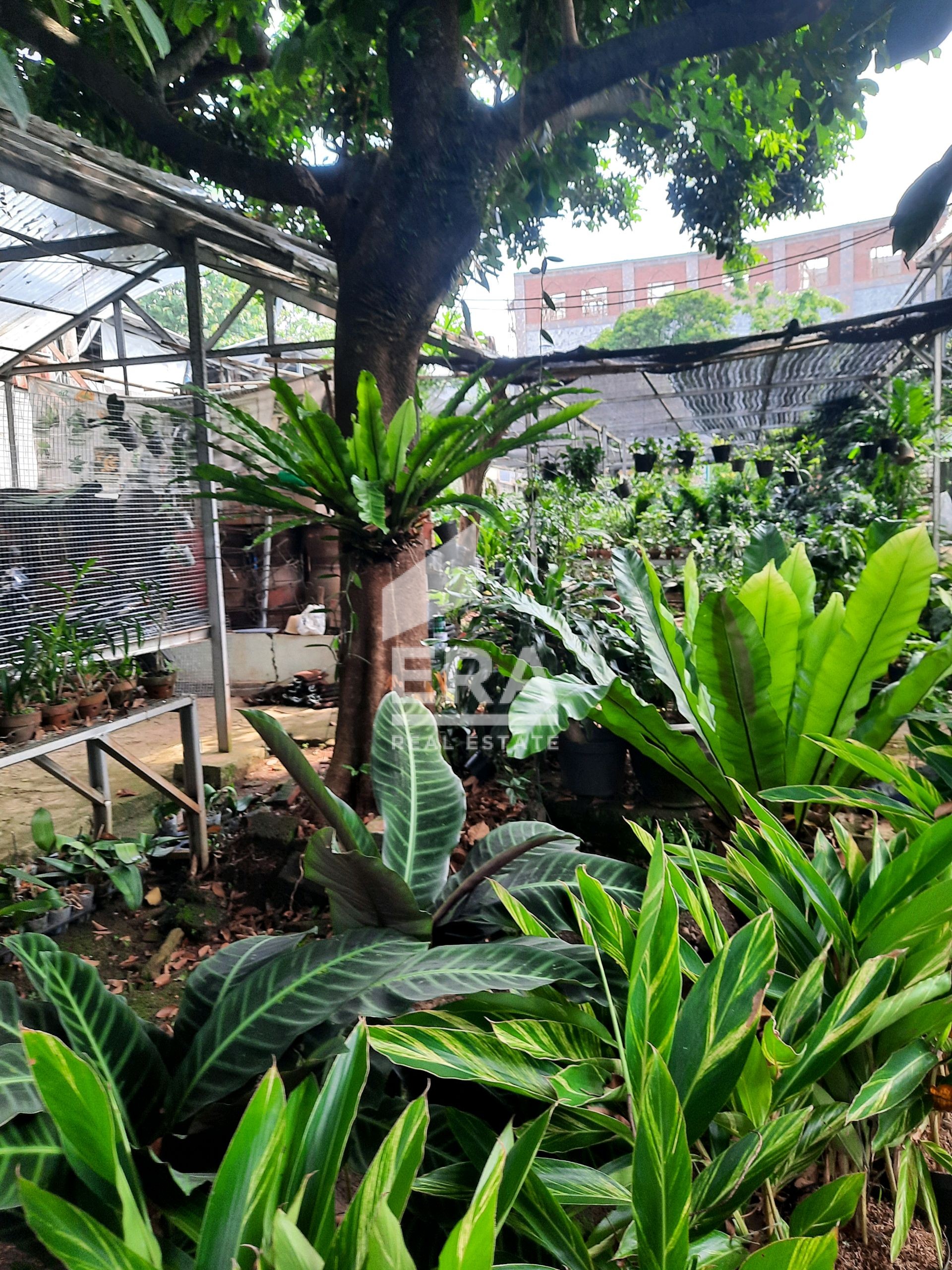 interior 2