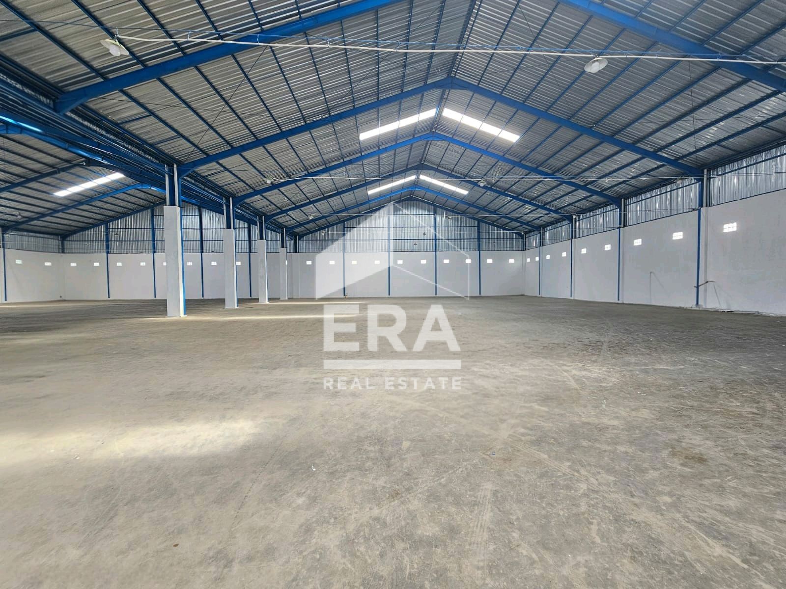 interior 4
