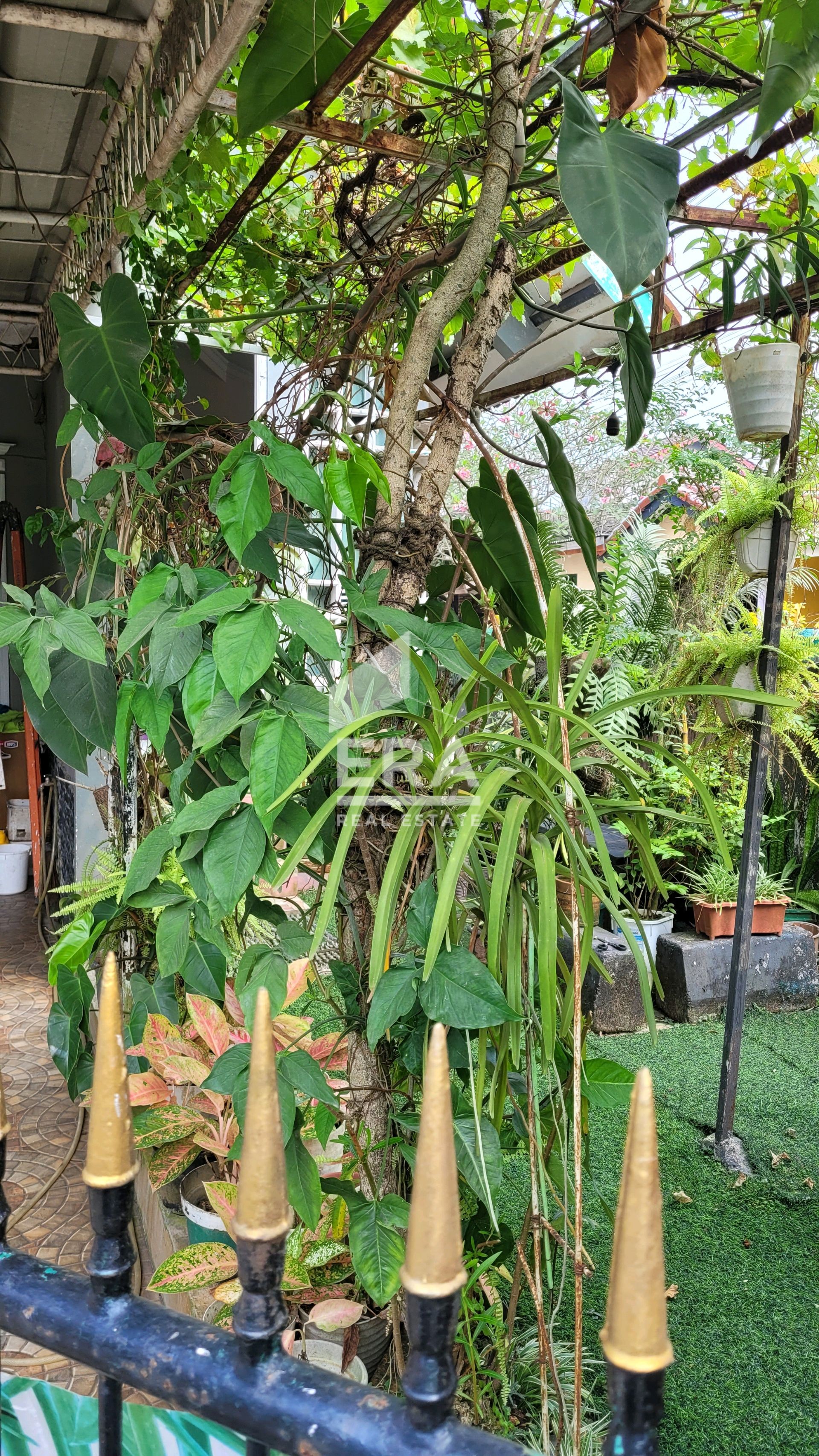 interior 8