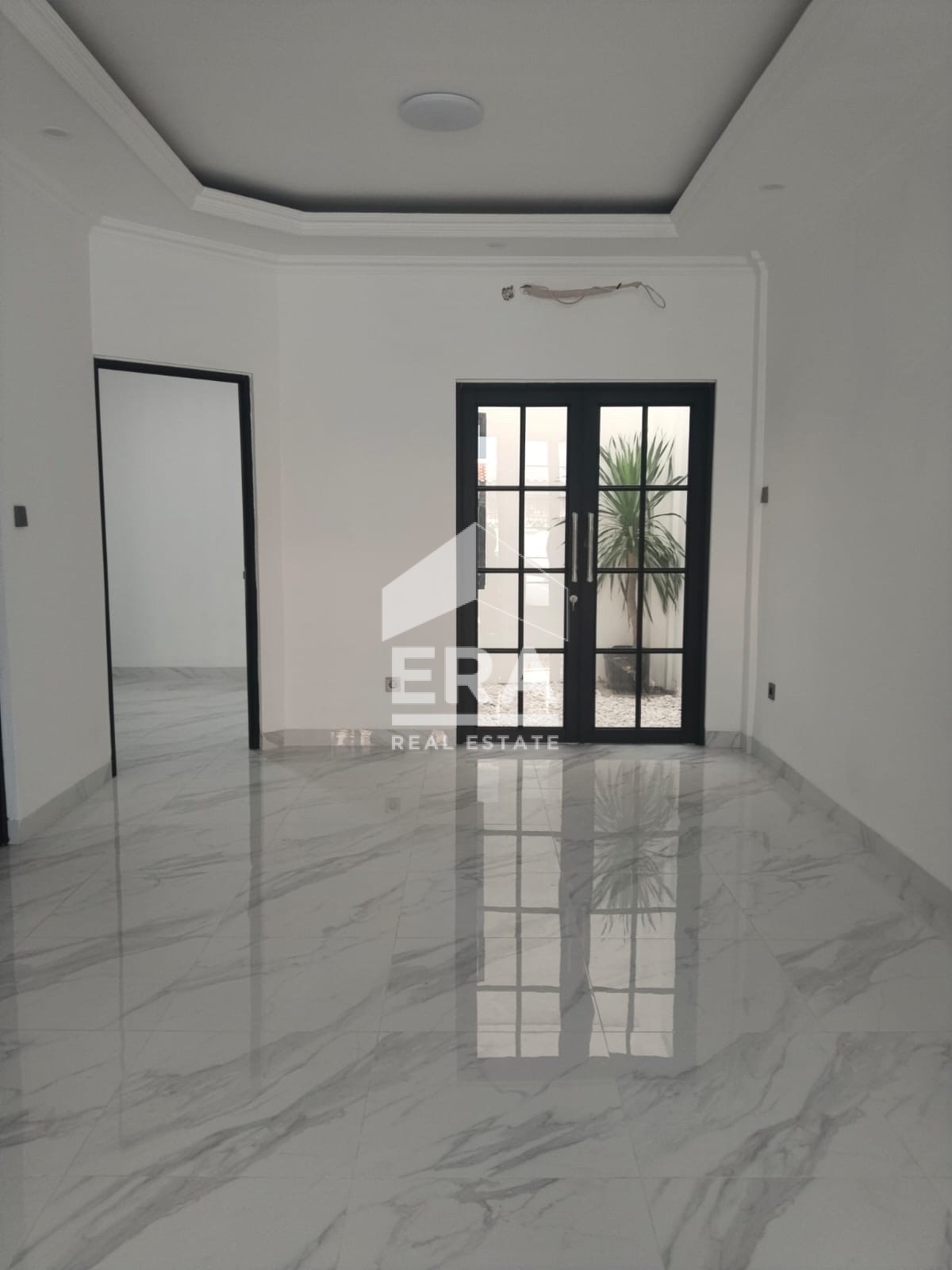 interior 8