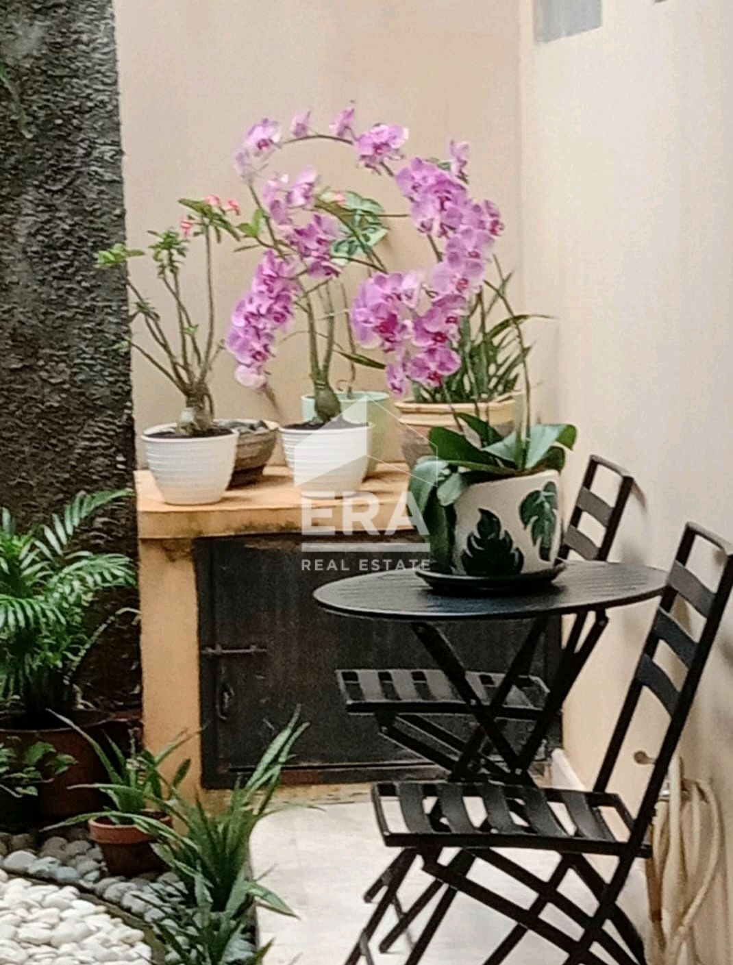 interior 6