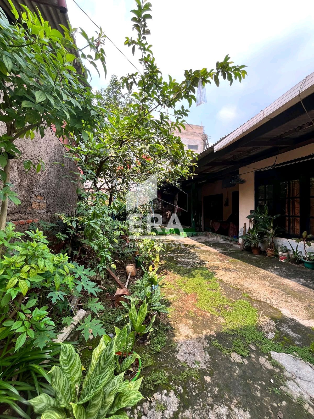 interior 2