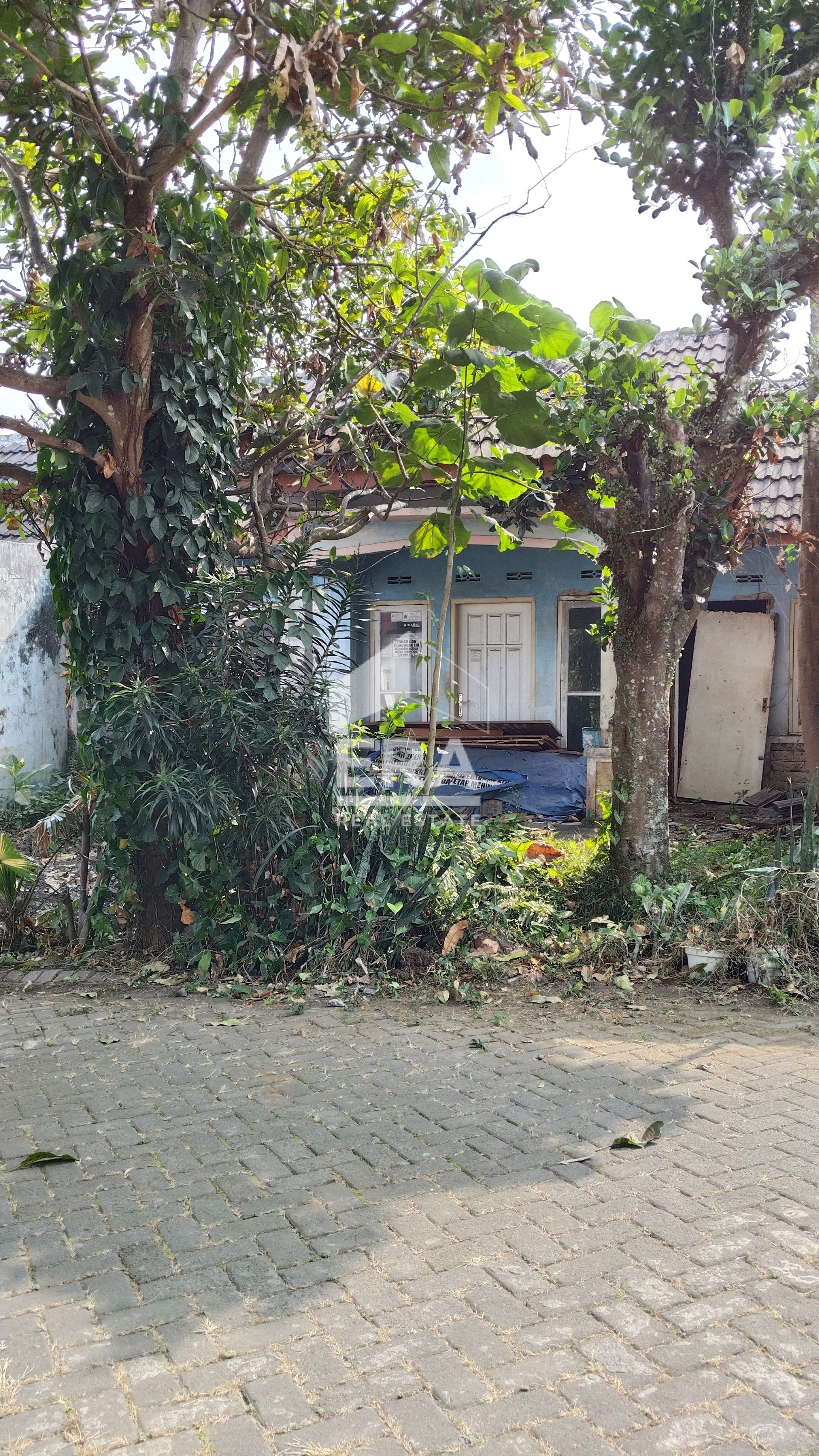 interior 4