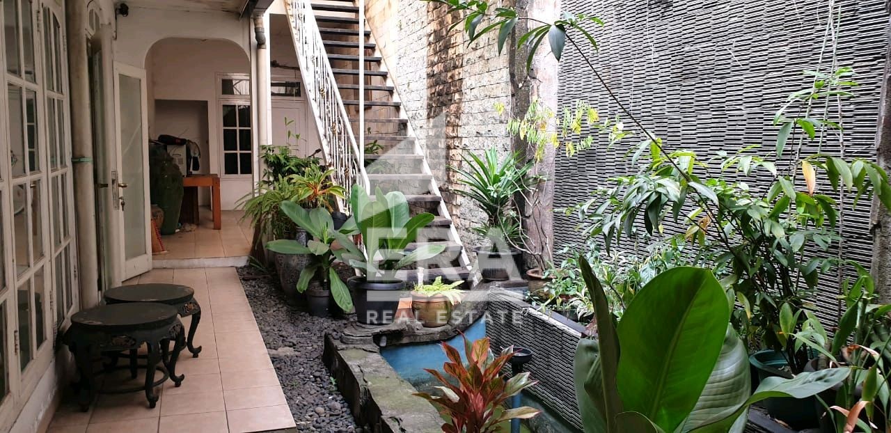 interior 3