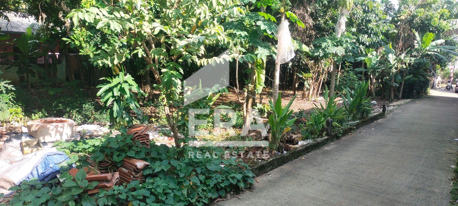 interior 3