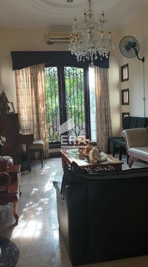 interior 15