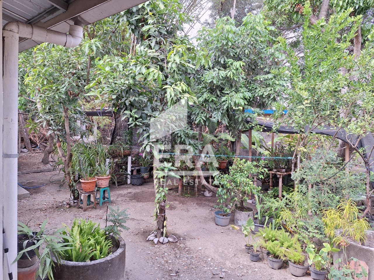 interior 3