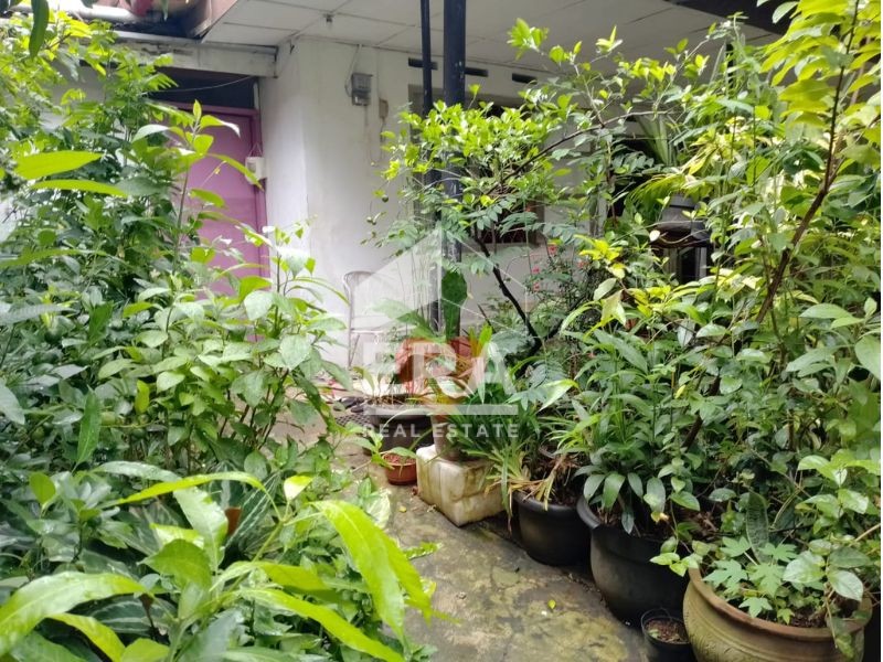interior 5