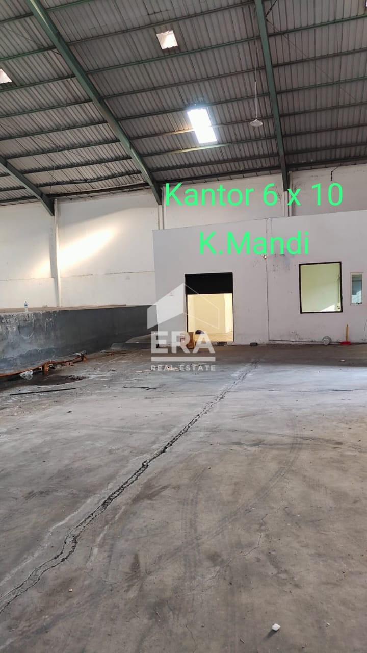 interior 2
