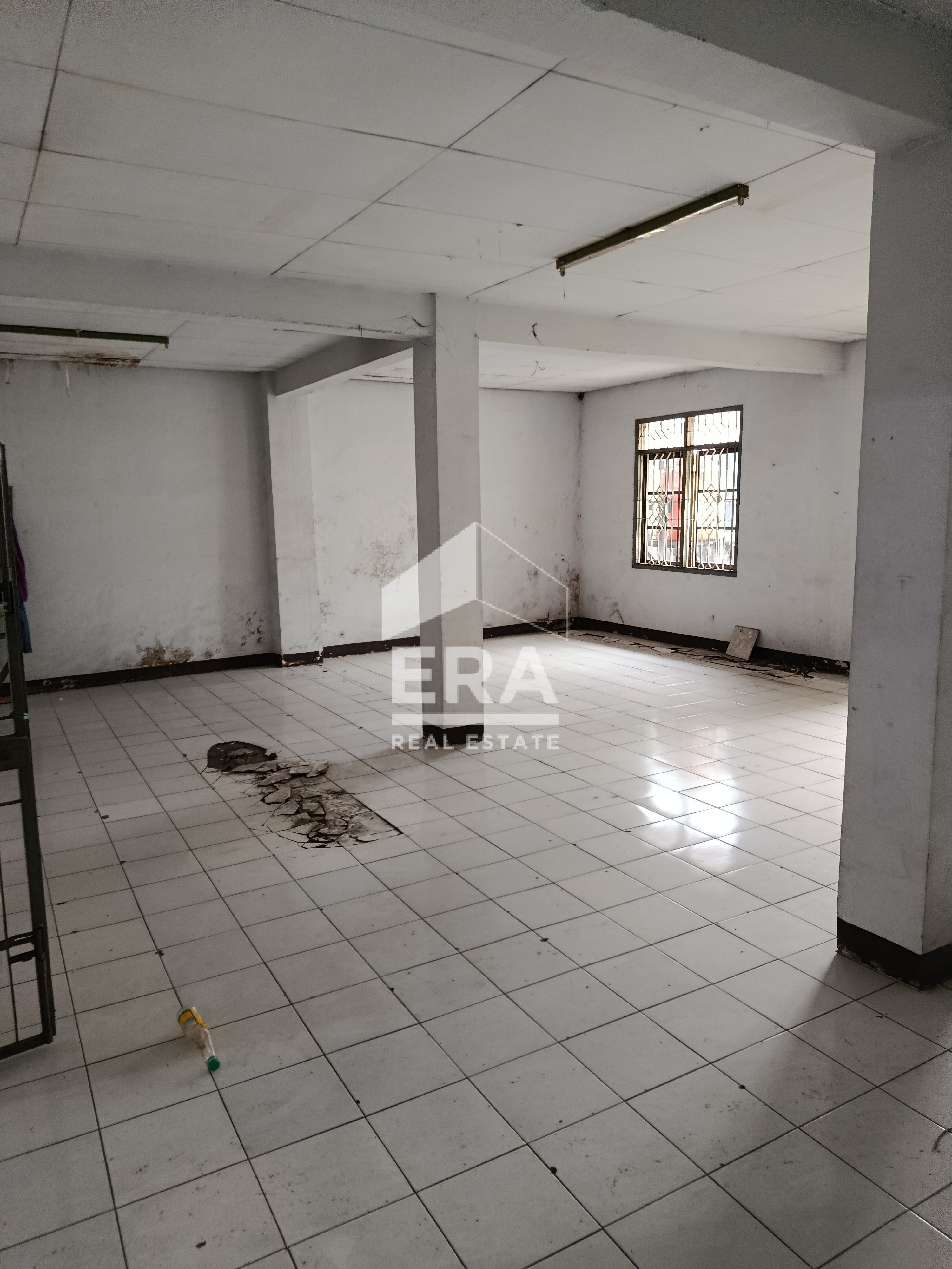 interior 6