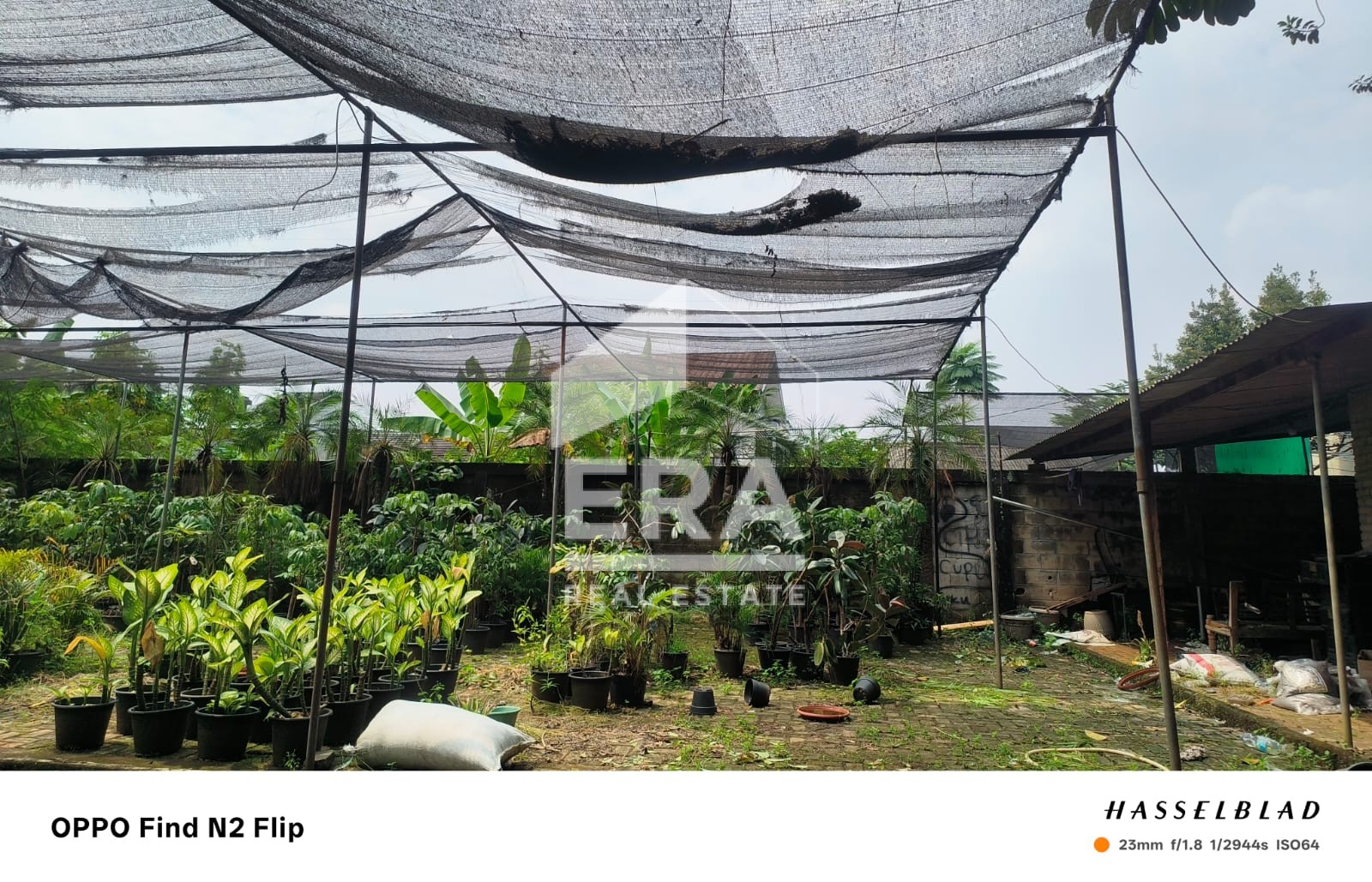interior1