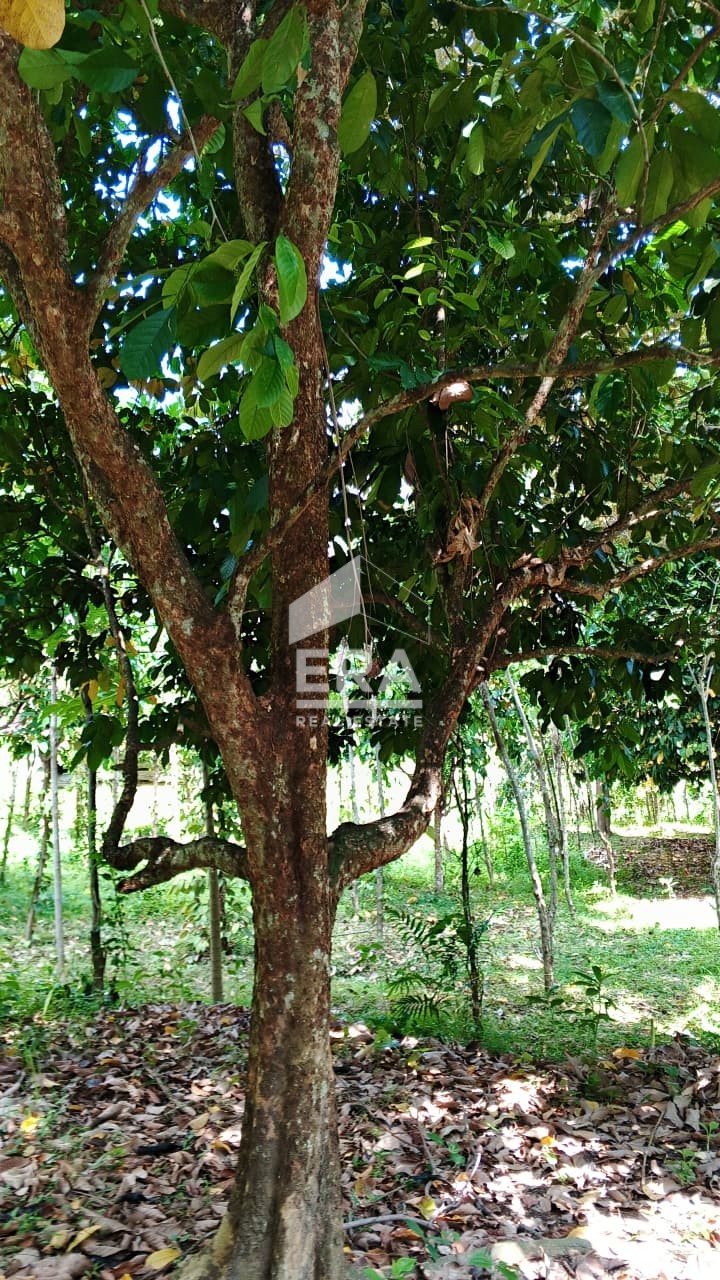 interior 7