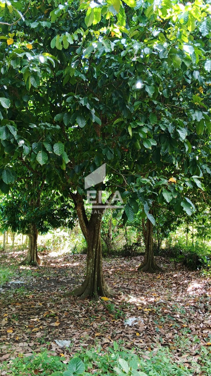 interior 8