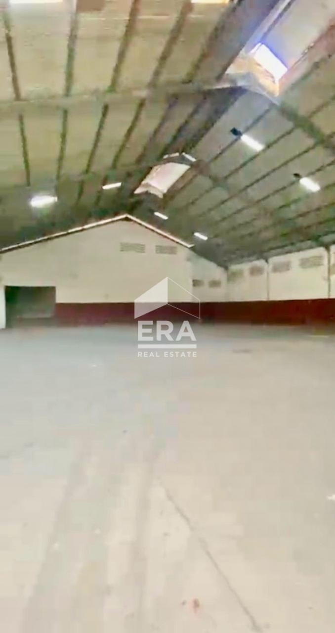 interior 5