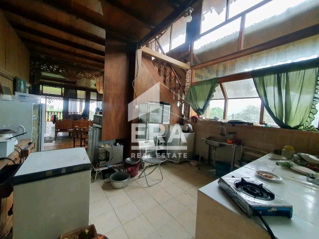 interior 3