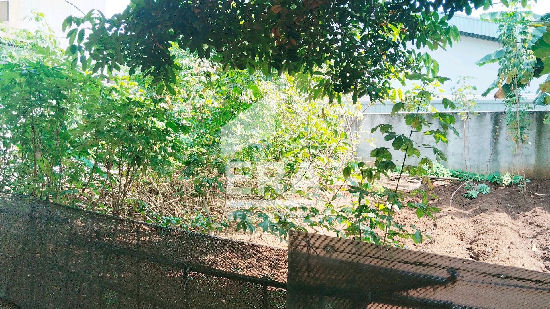interior 3