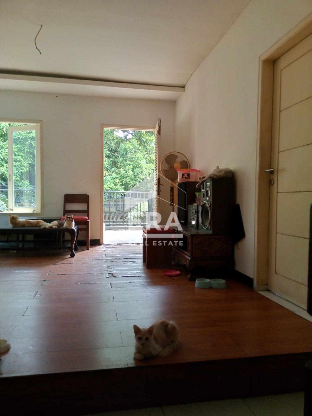 interior1