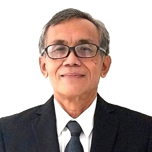 VINCENTIUS BUDIJONO, SE